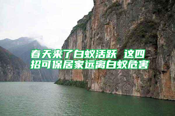 春天來了白蟻活躍 這四招可保居家遠離白蟻危害