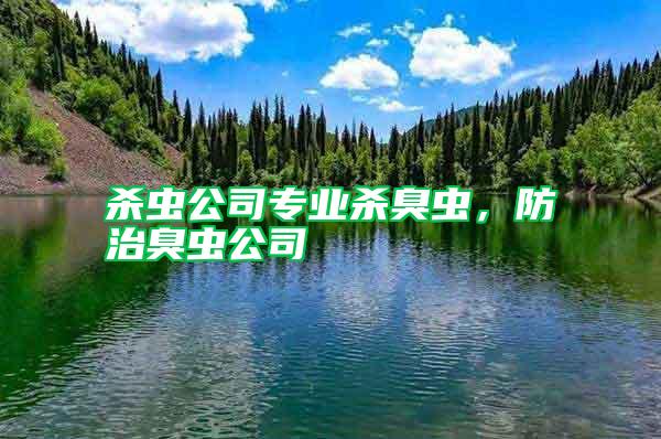 殺蟲公司專業殺臭蟲，防治臭蟲公司