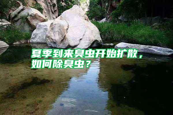 夏季到來臭蟲開始擴散，如何除臭蟲？