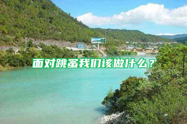 面對(duì)跳蚤我們?cè)撟鍪裁矗?/></p>
             <p style=