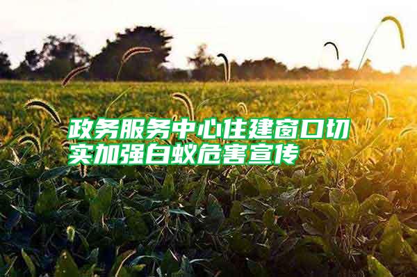 政務服務中心住建窗口切實加強白蟻危害宣傳