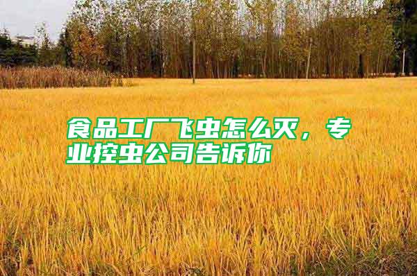 食品工廠飛蟲怎么滅，專業控蟲公司告訴你
