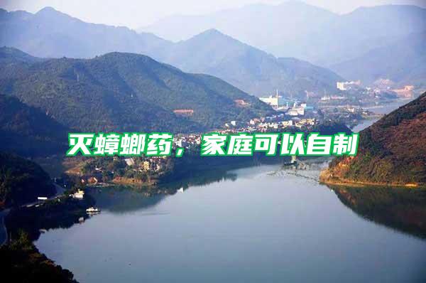 滅蟑螂藥，家庭可以自制