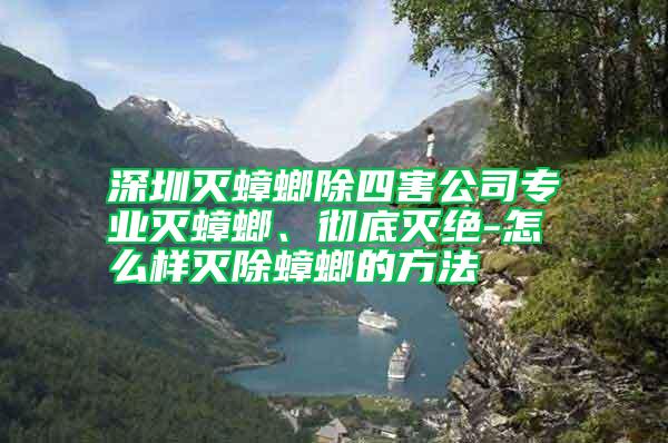 深圳滅蟑螂除四害公司專業滅蟑螂、徹底滅絕-怎么樣滅除蟑螂的方法