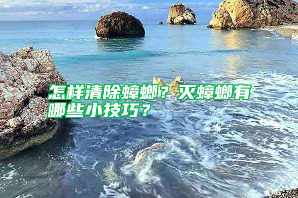 怎樣清除蟑螂？滅蟑螂有哪些小技巧？