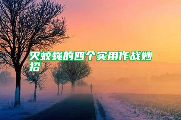 滅蚊蠅的四個實用作戰妙招