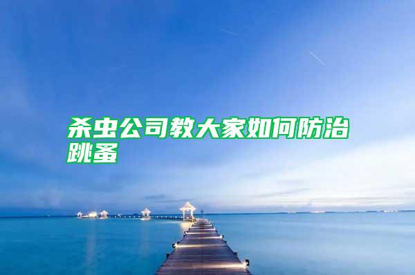 殺蟲(chóng)公司教大家如何防治跳蚤