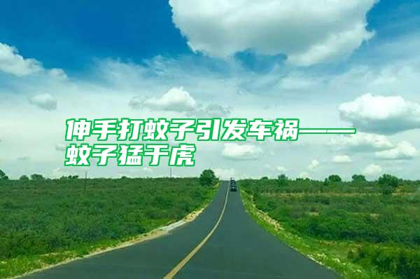 伸手打蚊子引發(fā)車禍——蚊子猛于虎