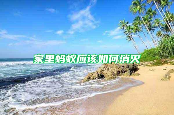 家里螞蟻應該如何消滅