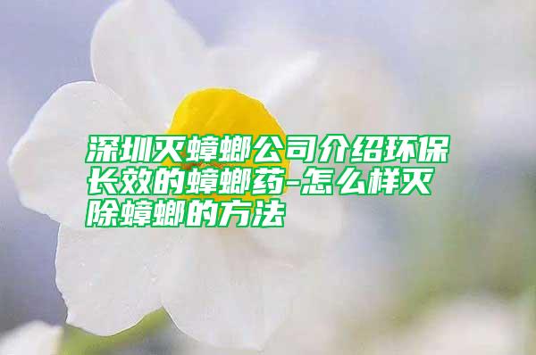 深圳滅蟑螂公司介紹環保長效的蟑螂藥-怎么樣滅除蟑螂的方法