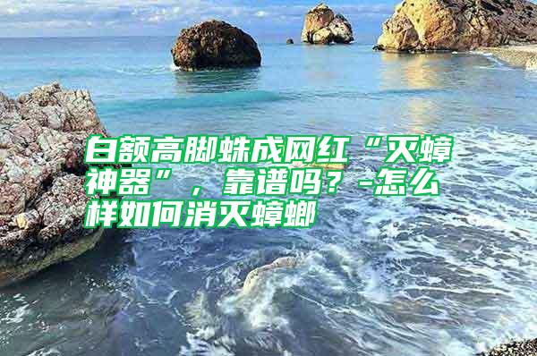 白額高腳蛛成網(wǎng)紅“滅蟑神器”，靠譜嗎？-怎么樣如何消滅蟑螂
