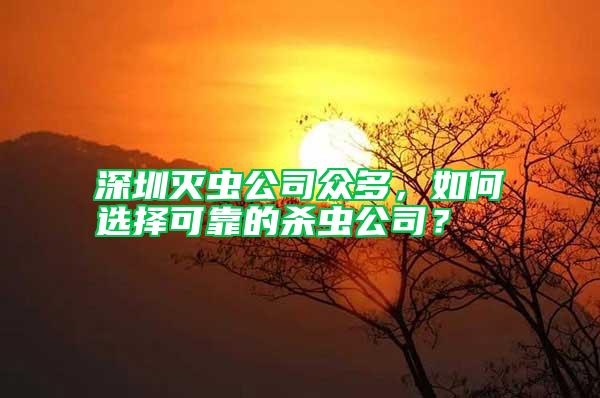 深圳滅蟲公司眾多，如何選擇可靠的殺蟲公司？