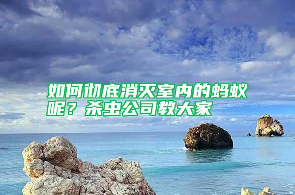 如何徹底消滅室內的螞蟻呢？殺蟲公司教大家
