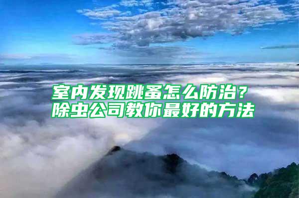 室內發現跳蚤怎么防治？除蟲公司教你最好的方法