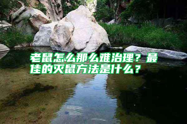 老鼠怎么那么難治理？最佳的滅鼠方法是什么？