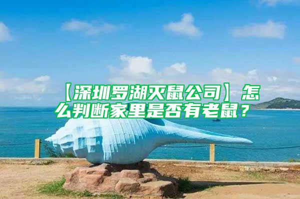 【深圳羅湖滅鼠公司】怎么判斷家里是否有老鼠？