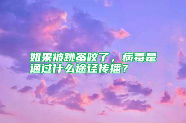 如果被跳蚤咬了,病毒是通過什么途徑傳播?