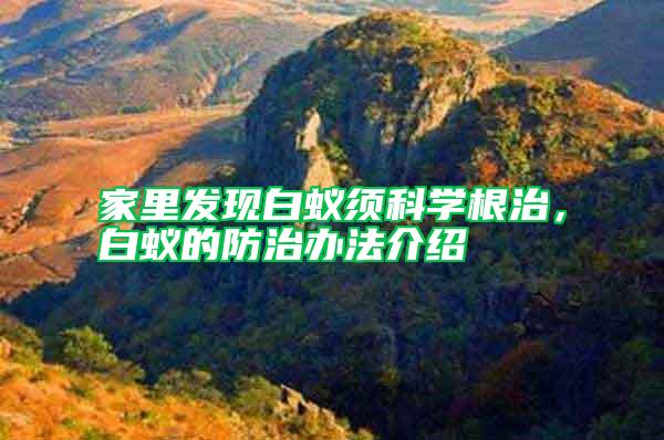 家里發(fā)現白蟻須科學根治，白蟻的防治辦法介紹