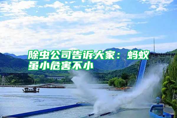 除蟲(chóng)公司告訴大家：螞蟻雖小危害不小