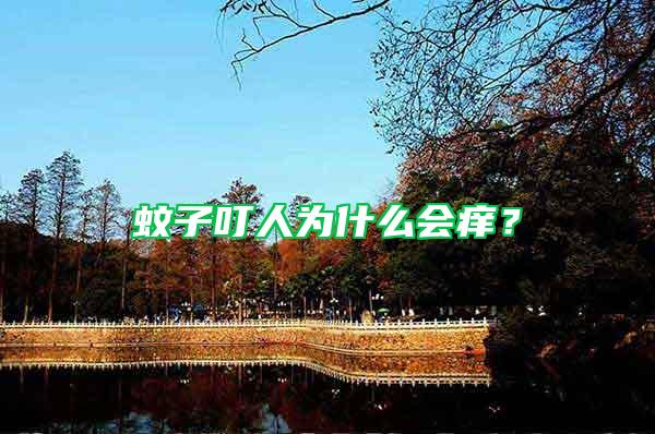 蚊子叮人為什么會(huì)癢？