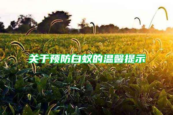 關(guān)于預(yù)防白蟻的溫馨提示