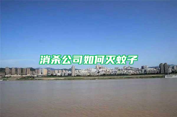 消殺公司如何滅蚊子