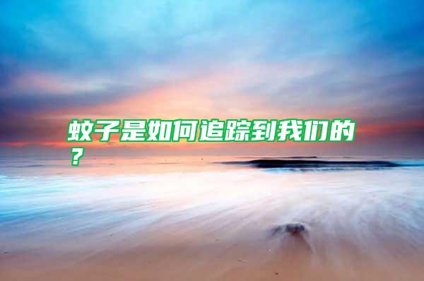 蚊子是如何追蹤到我們的？