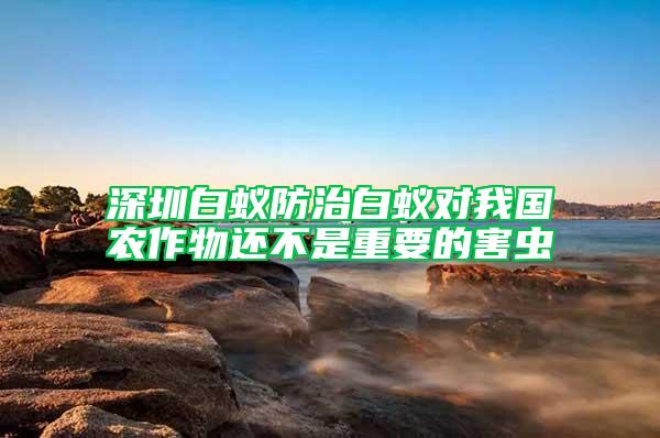 深圳白蟻防治白蟻對我國農作物還不是重要的害蟲