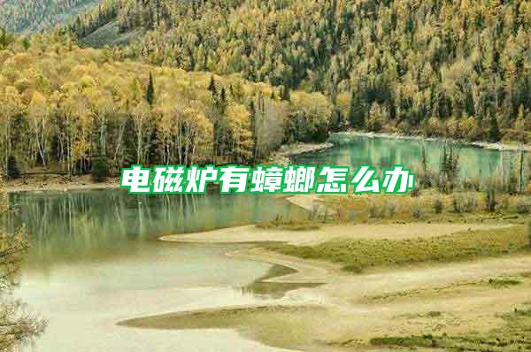 電磁爐有蟑螂怎么辦