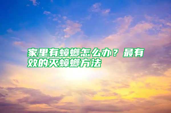 家里有蟑螂怎么辦？最有效的滅蟑螂方法