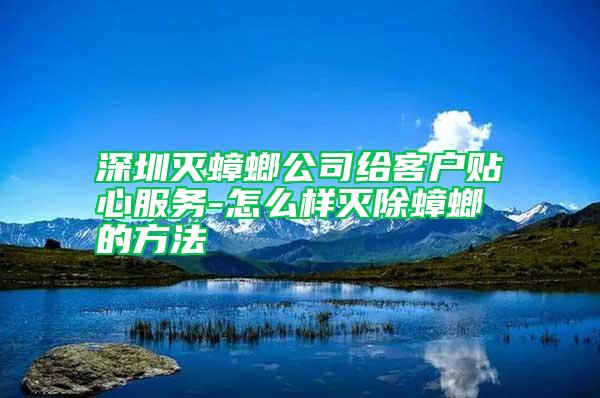 深圳滅蟑螂公司給客戶貼心服務-怎么樣滅除蟑螂的方法