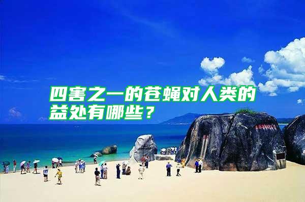四害之一的蒼蠅對人類的益處有哪些？
