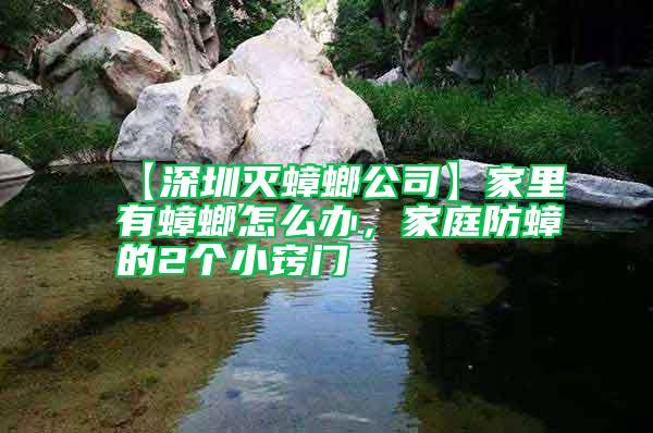【深圳滅蟑螂公司】家里有蟑螂怎么辦,家庭防蟑的2個(gè)小竅門