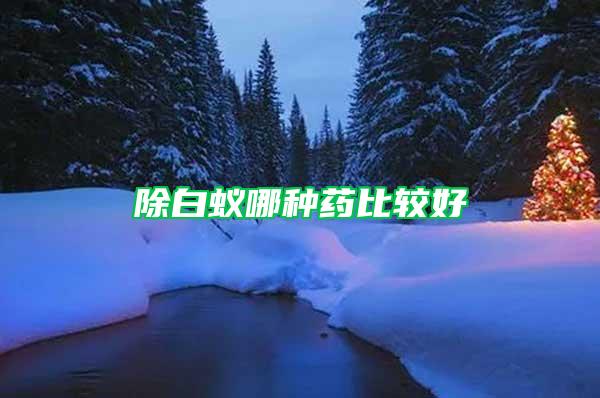 除白蟻哪種藥比較好