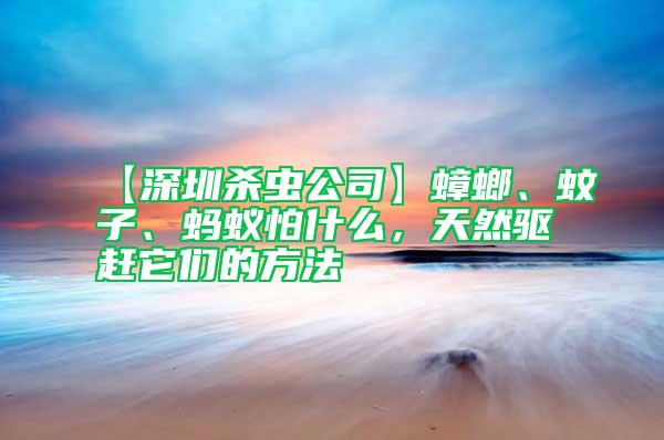 【深圳殺蟲公司】蟑螂、蚊子、螞蟻怕什么，天然驅趕它們的方法