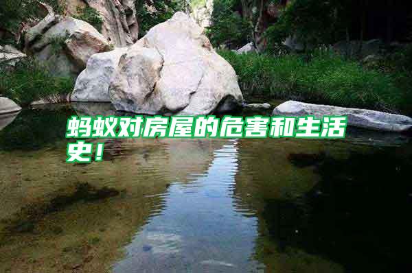 螞蟻對房屋的危害和生活史！