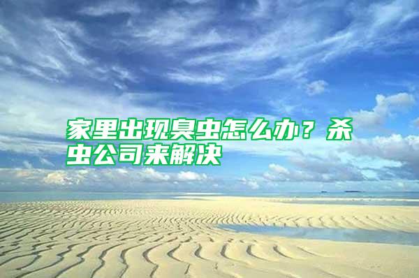 家里出現臭蟲怎么辦？殺蟲公司來解決