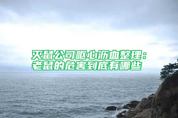 滅鼠公司嘔心瀝血整理：老鼠的危害到底有哪些