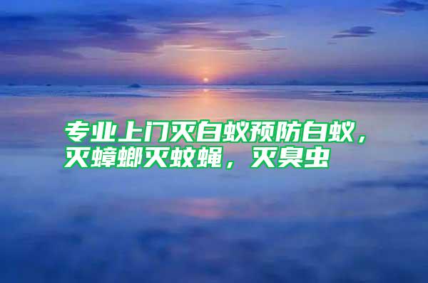 專業(yè)上門滅白蟻預(yù)防白蟻，滅蟑螂滅蚊蠅，滅臭蟲