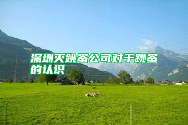 深圳滅跳蚤公司對于跳蚤的認識
