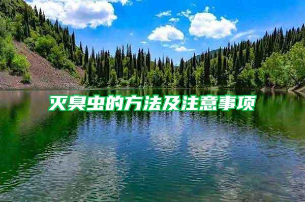 滅臭蟲(chóng)的方法及注意事項(xiàng)