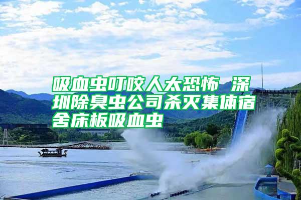 吸血蟲叮咬人太恐怖 深圳除臭蟲公司殺滅集體宿舍床板吸血蟲