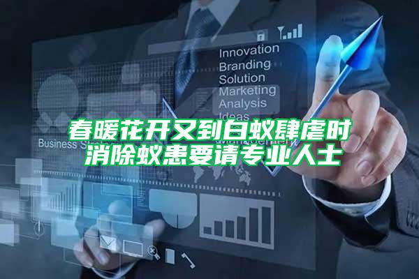 春暖花開又到白蟻肆虐時 消除蟻患要請專業人士