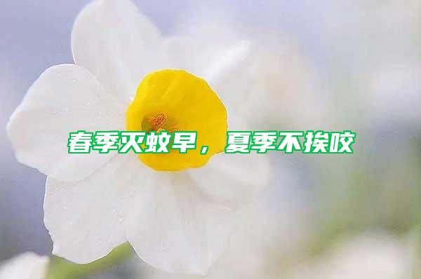 春季滅蚊早,夏季不挨咬