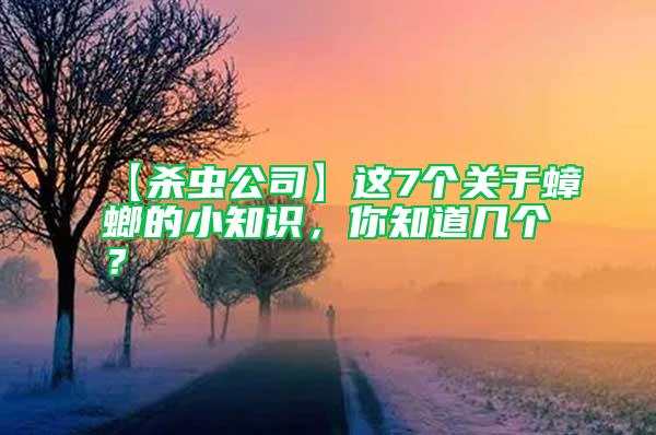 【殺蟲公司】這7個(gè)關(guān)于蟑螂的小知識(shí)，你知道幾個(gè)？