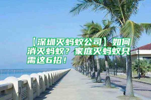 【深圳滅螞蟻公司】如何消滅螞蟻？家庭滅螞蟻只需這6招！