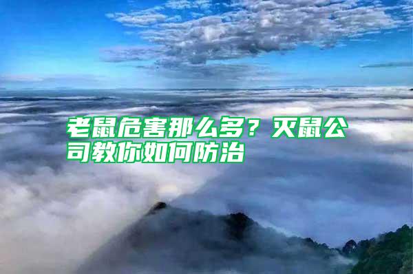老鼠危害那么多？滅鼠公司教你如何防治
