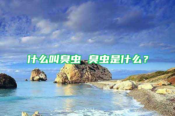 什么叫臭蟲 臭蟲是什么?