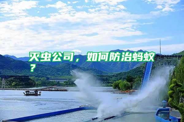 滅蟲公司，如何防治螞蟻？