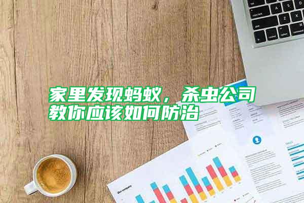 家里發現螞蟻，殺蟲公司教你應該如何防治